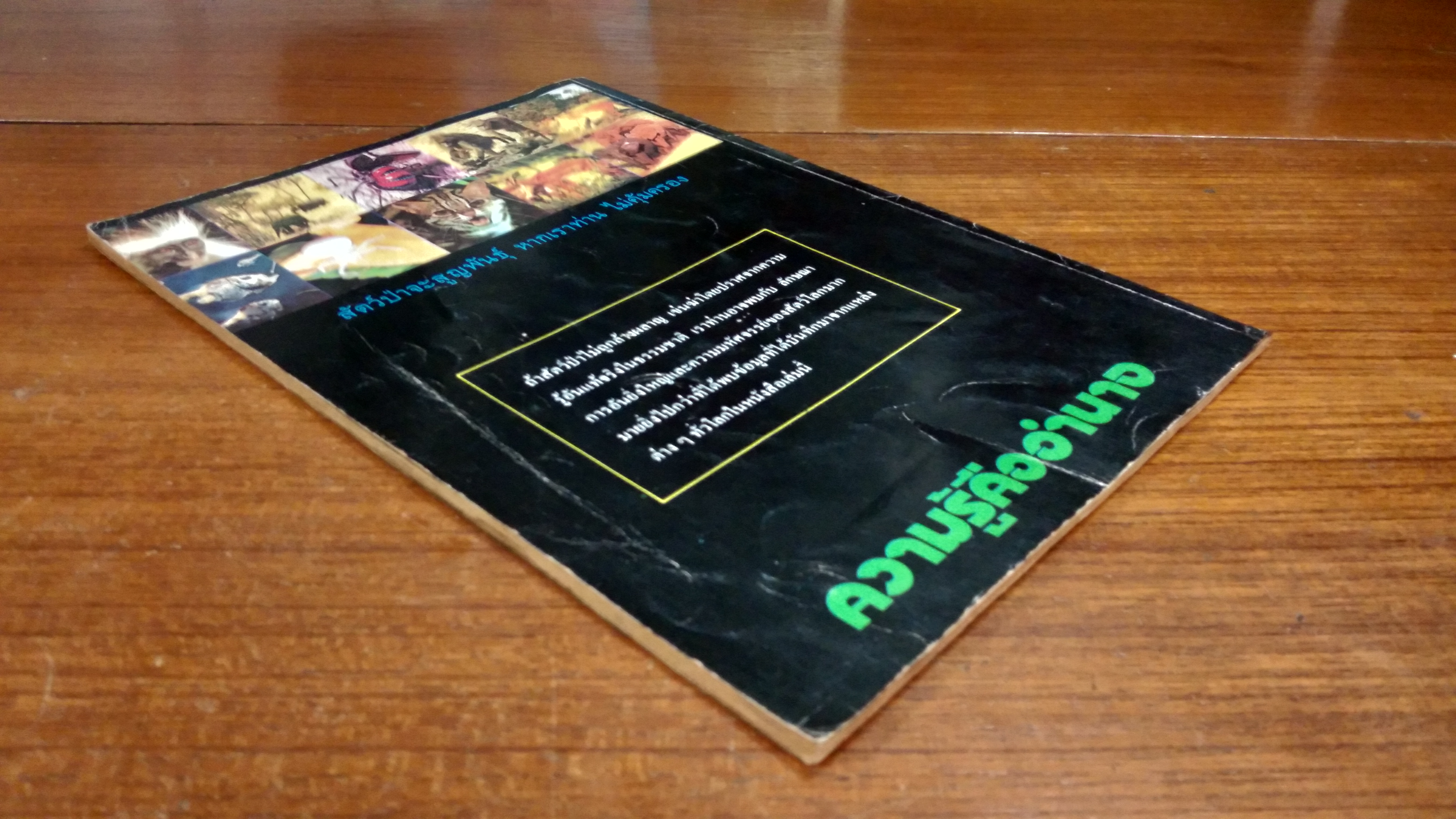 ที่สุดในโลก