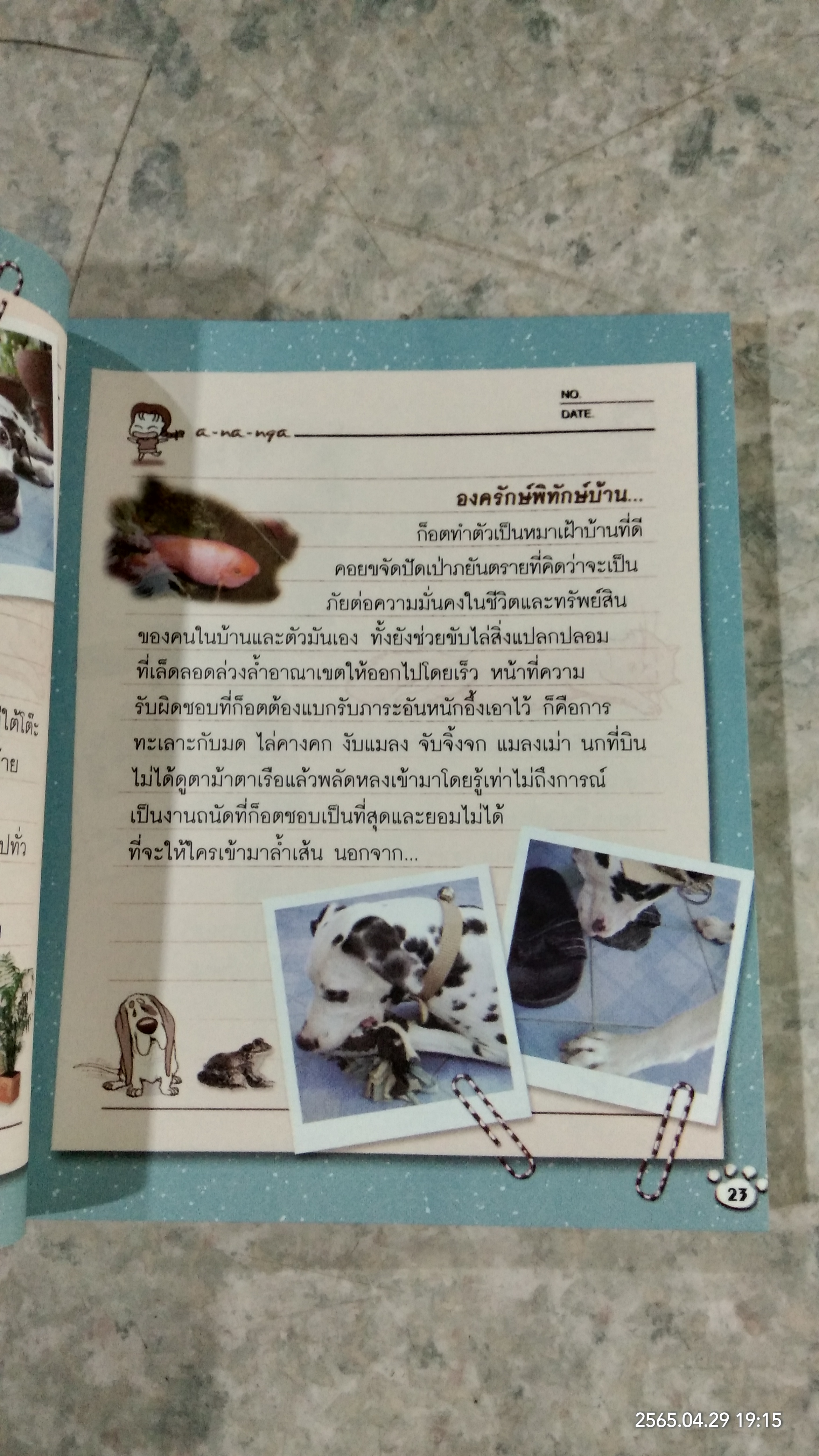 ด้วยรัก...แกมรำคาญ / อะ-นะ-งะ