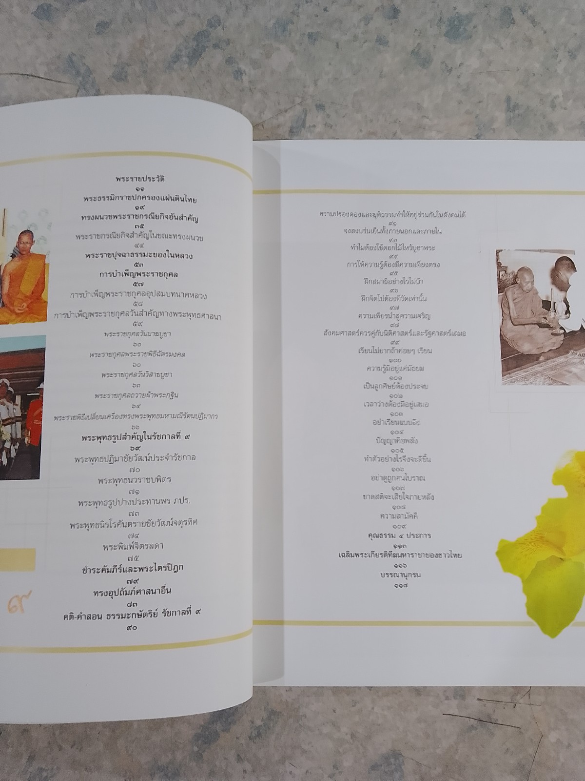 ใต้ร่มพระบารมีปกเกล้าฯ ธรรมะกษัตริย์ รัชกาลที่ ๙ / ธัญญาภรณ์ ภู่ทอง