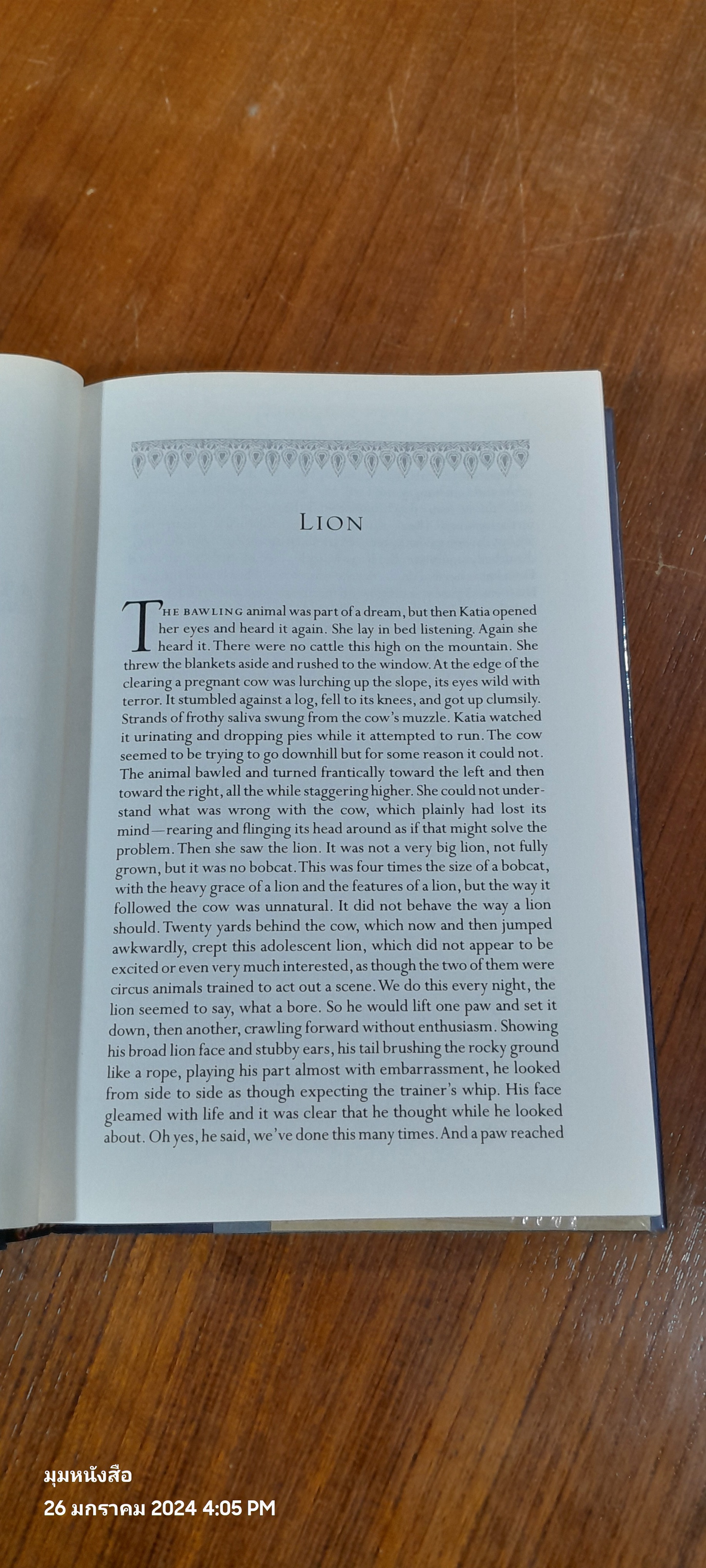 LOST IN UTTAR PRADESH / EVAN S. CONNELL