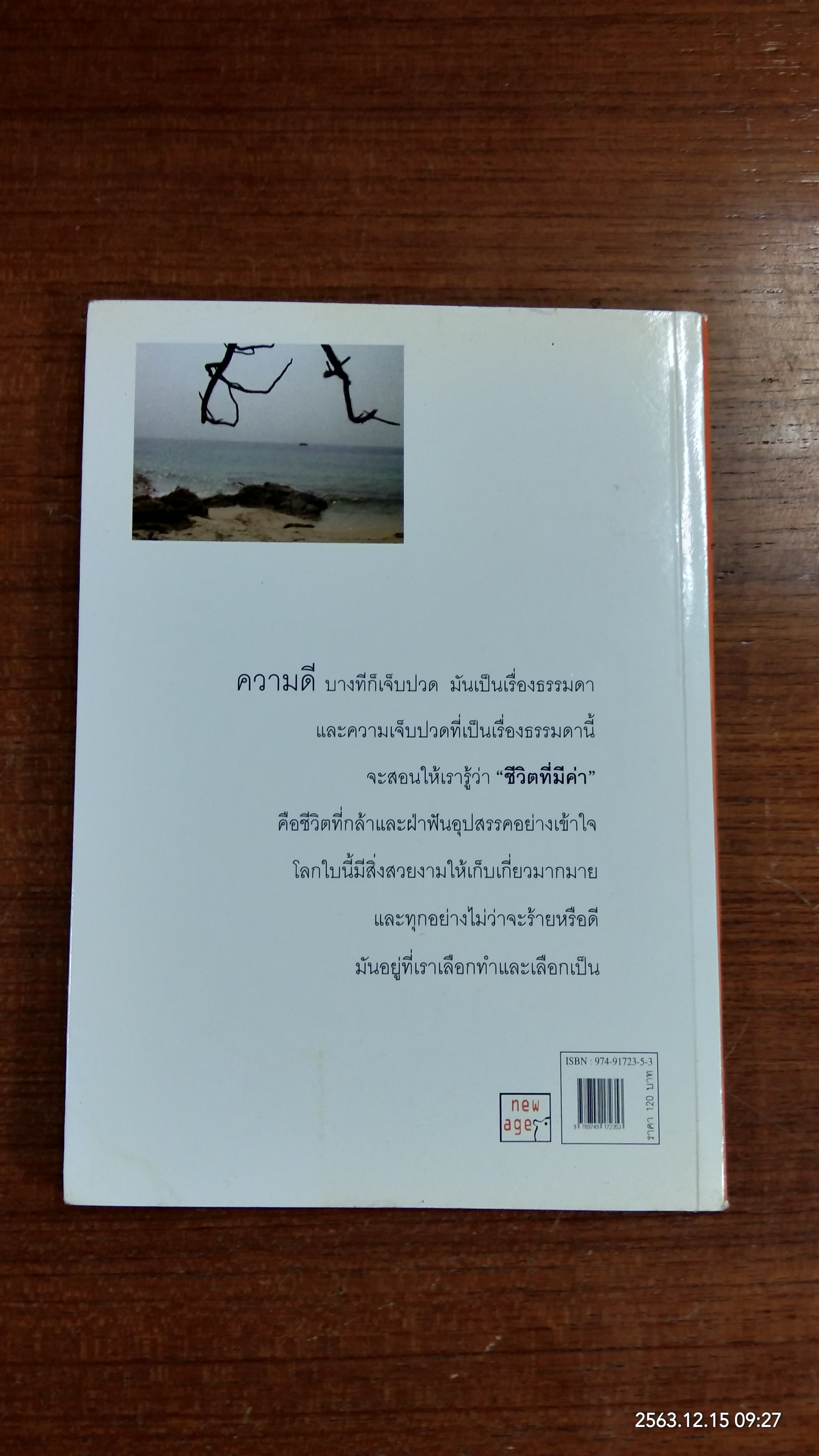 ยิ่งมองสูงยิ่งเห็นไกล (มีรอยโดนน้ำ) / ต้นกล้า นัยนา