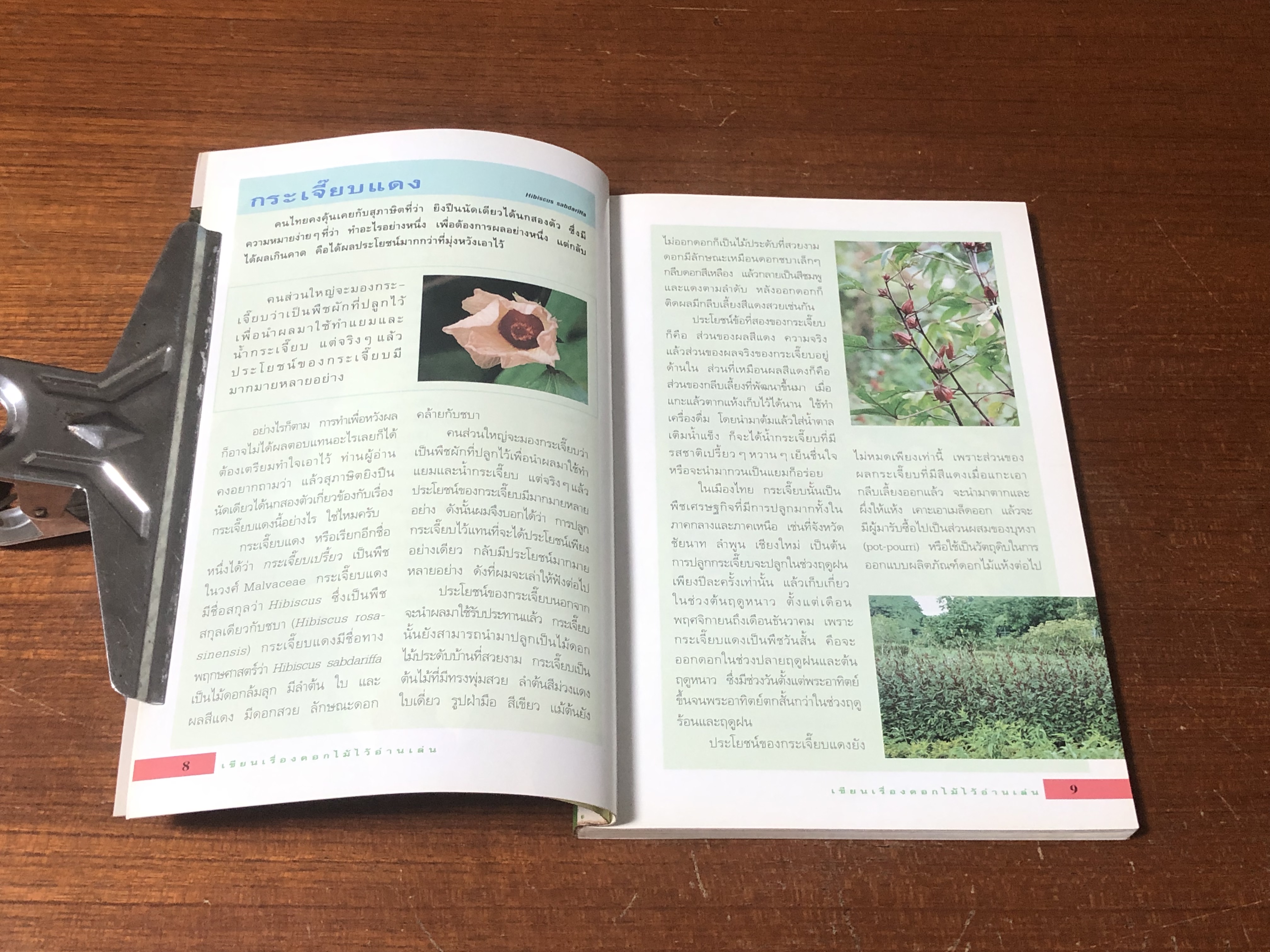 เขียนเรื่องดอกไม้ไว้อ่านเล่น 1 / ผศ.ธัญญะ เตชะศีลพิทักษ์