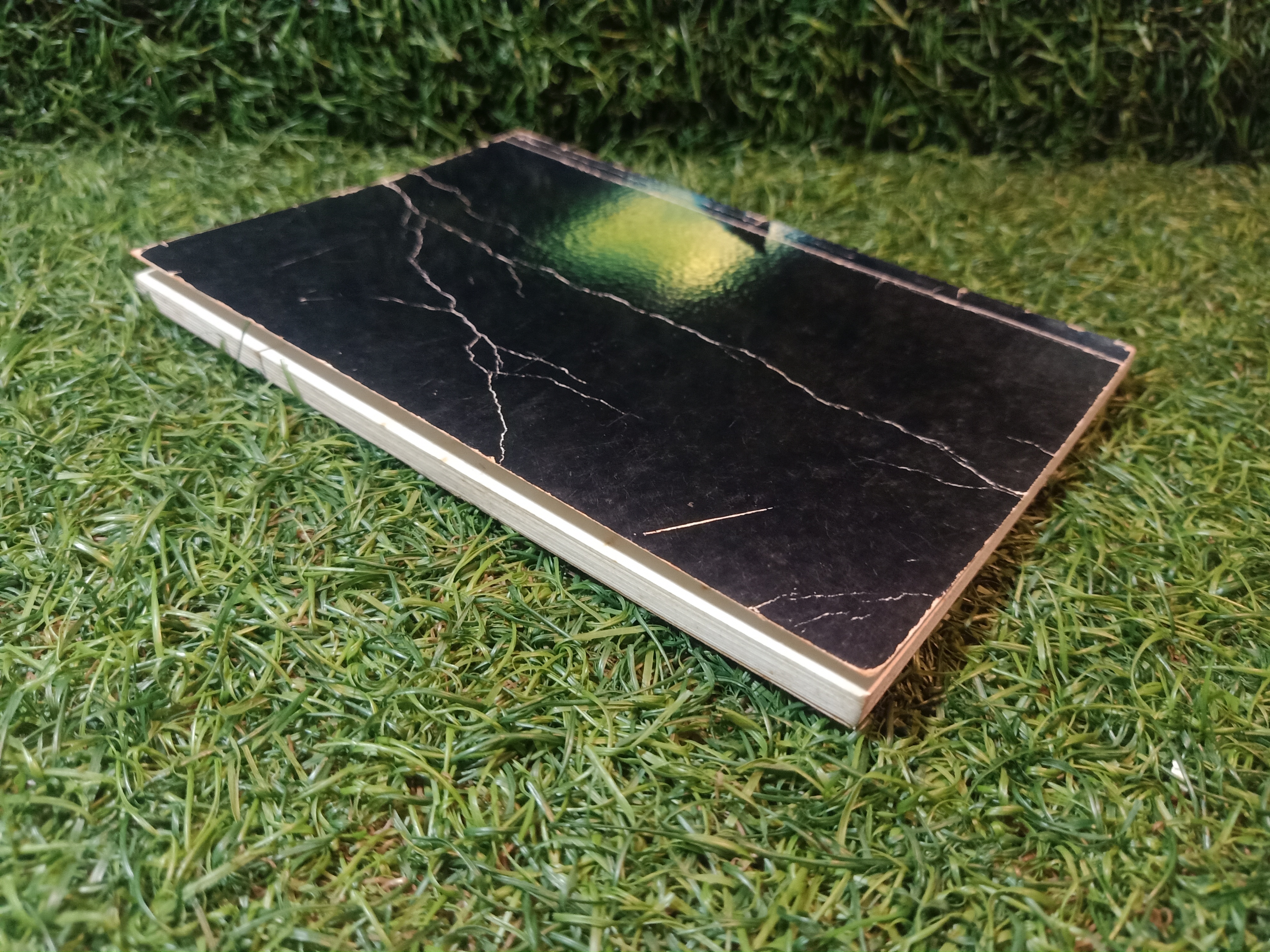 พลิกป่า ล่าประสบการณ์ / จินดา ดวงจินดา