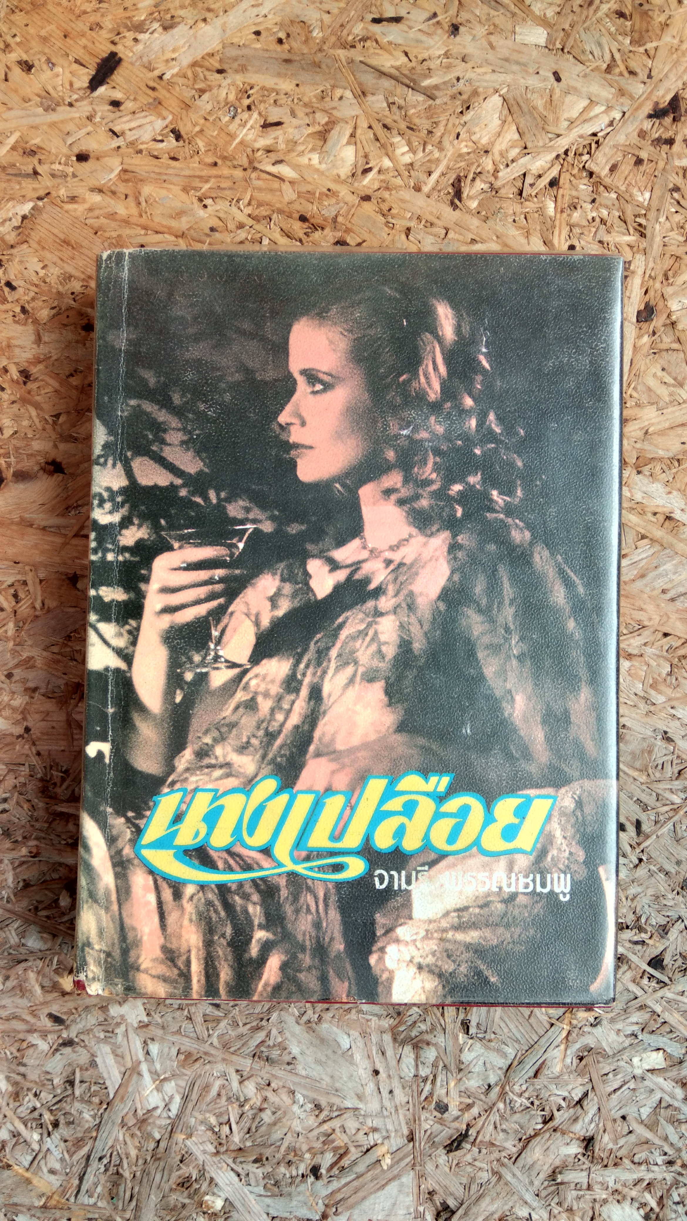 นางเปลือย / จามรี พรรณชมพู