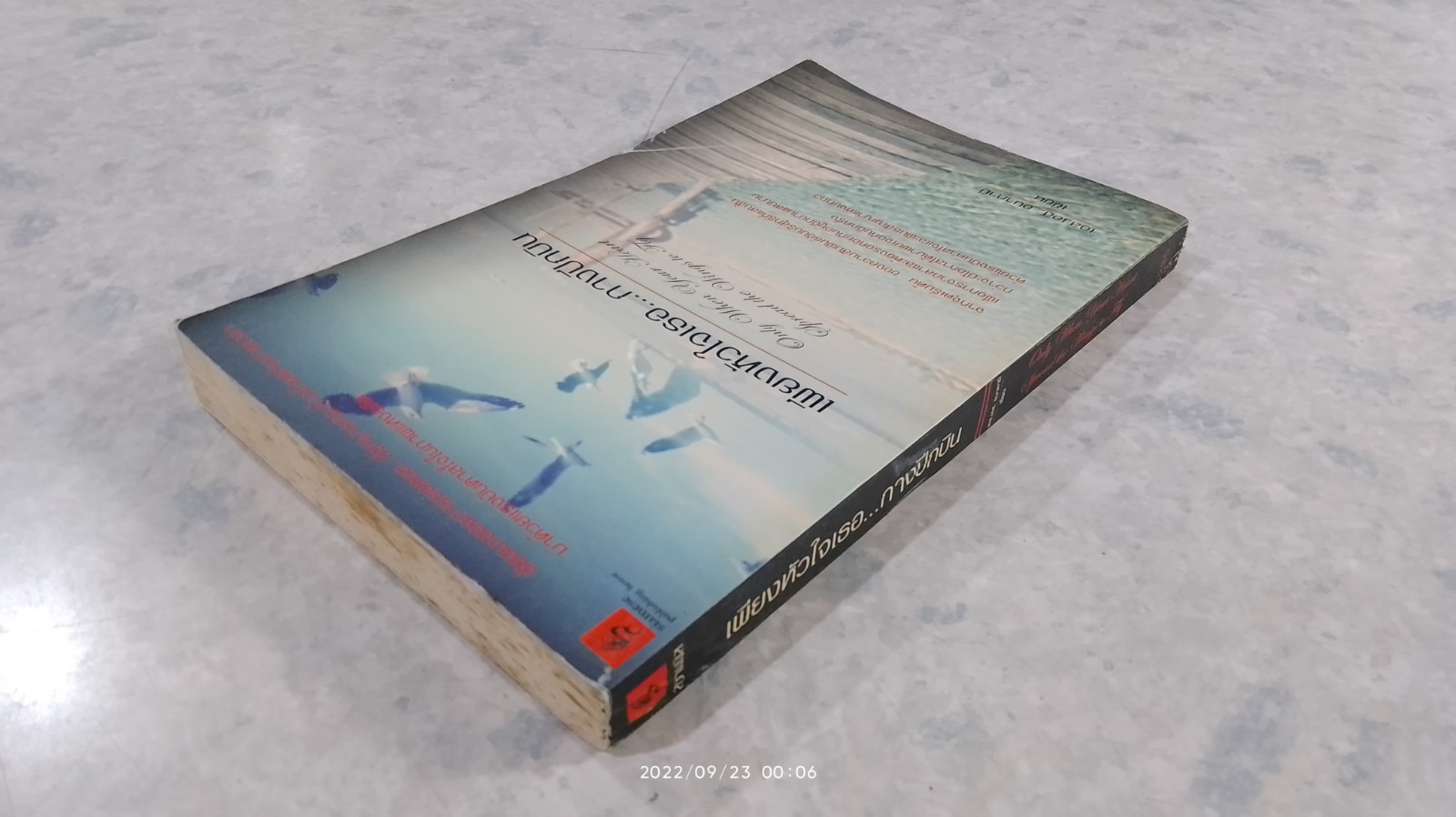 เพียงหัวใจเธอ...กางปีกบิน / เอส.เอส. อนาคามี