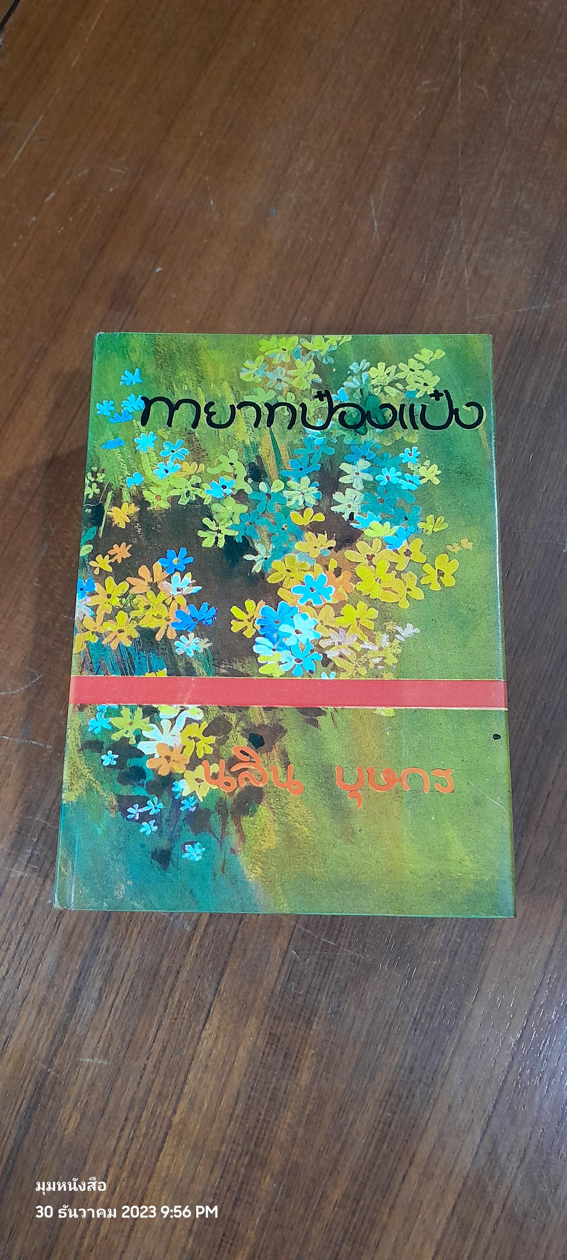 ทายาทป๋องแป๋ง (2เล่มจบ) / นลิน บุษกร