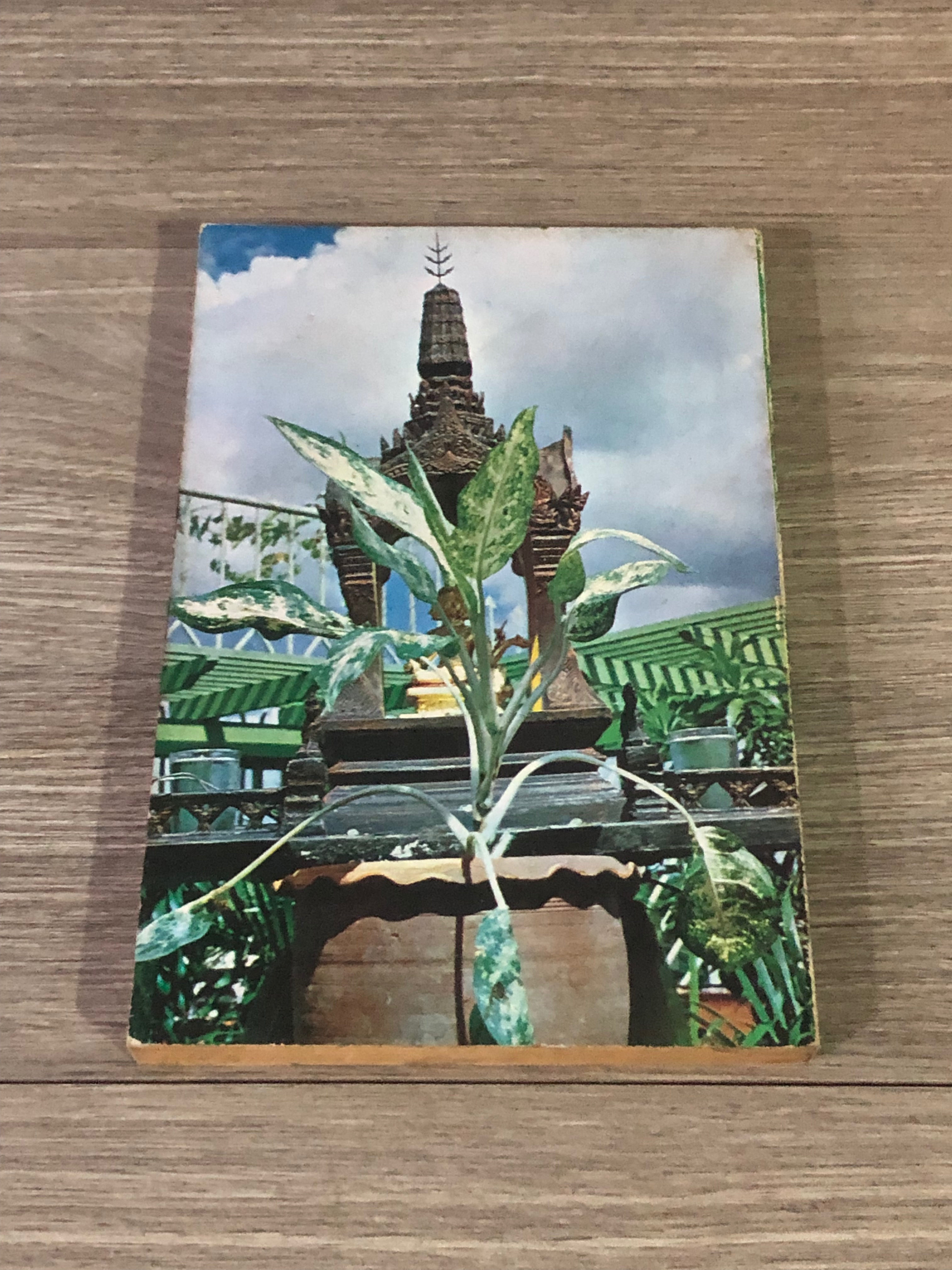 สวนหลังบ้าน 5 ต้นไม้กับความเชื่อถือ / สุนทร ปุณโณทก