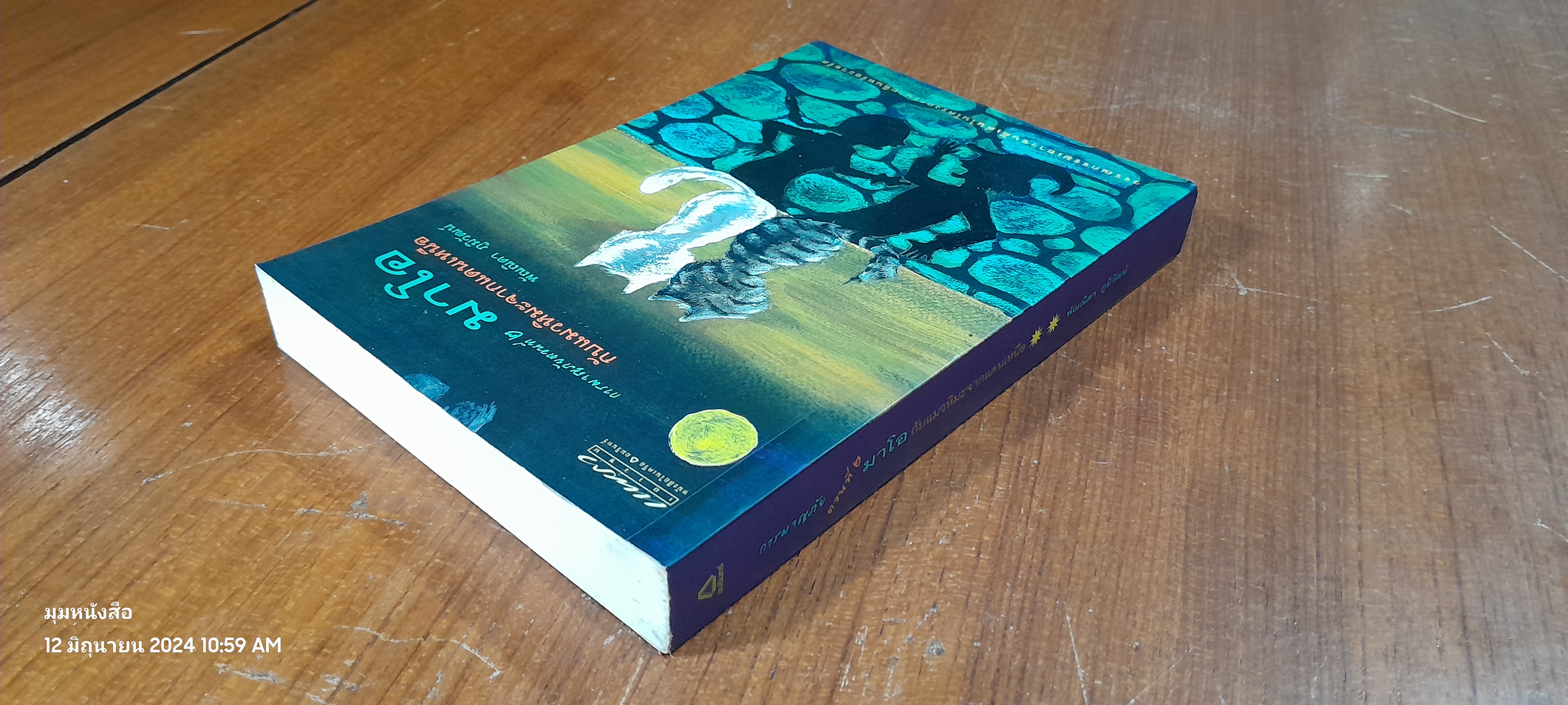 การผจญภัยตอนที่ ๒ มาโอ กับแมวหิมะจากแดนเหนือ / พัณณิดา ภูมิวัฒน์