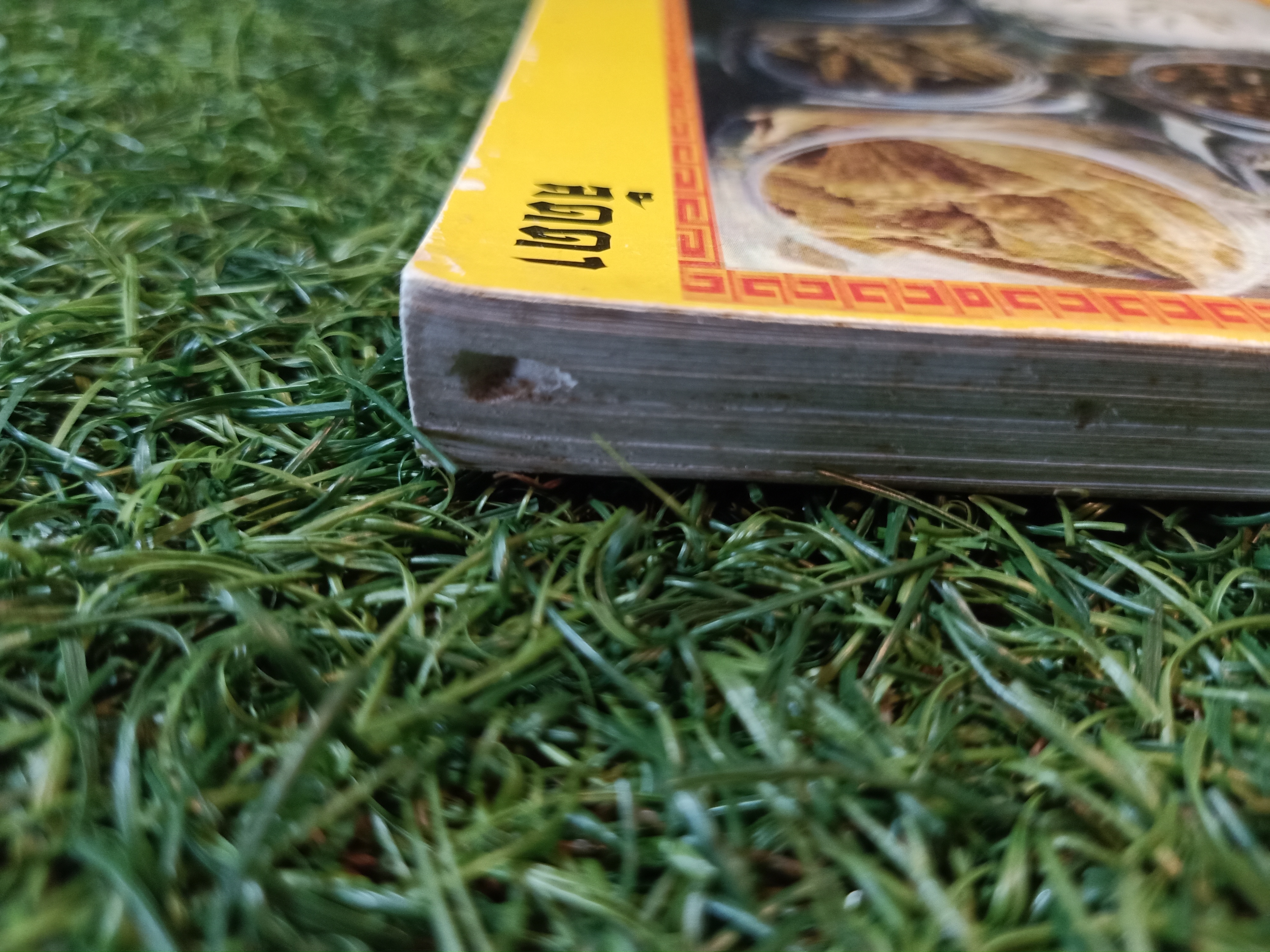 สมุนไพรจีน และ อาหารบำรุงกำลัง(หนังสือมีรอยด้านล่างของปก) / ลัดดา