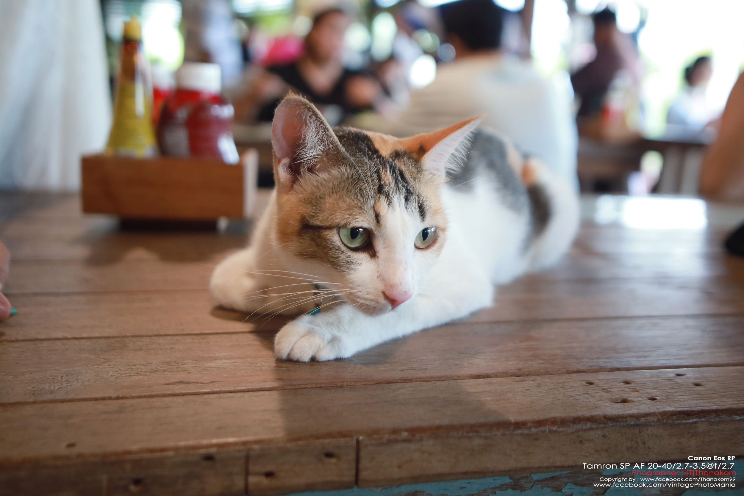 Tamron SP AF 20-40/2.7-3.5 Aspherical *Nikon AF-D Mount เลนส์ไวด์ไวแสงหายากรองรับกล้องฟูลเฟรม