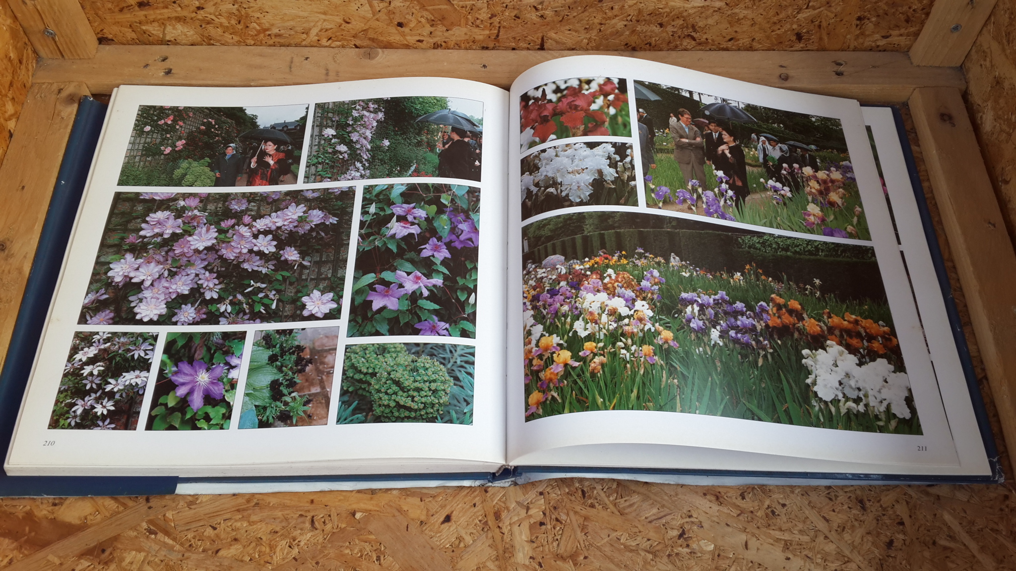 ตามเสด็จ พ.ศ.2538 โดย ท่านผู้หญิงสุวรี เทพาคำ