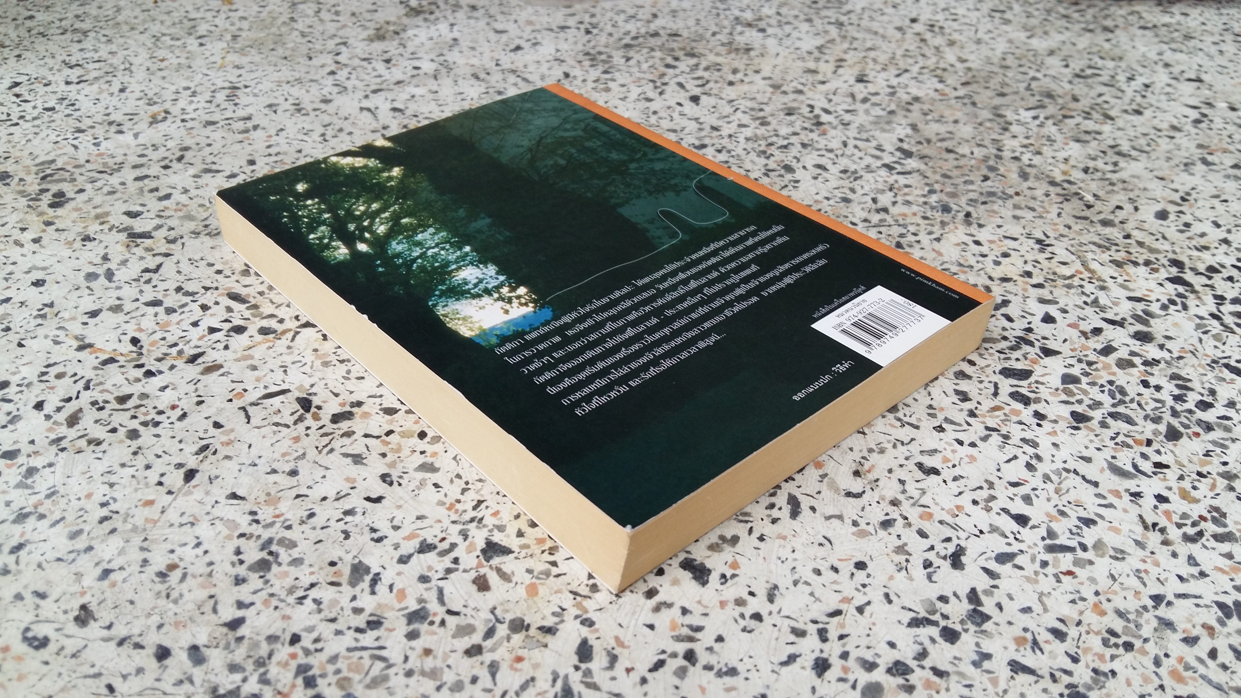 ณ เส้นขอบฟ้า / กรมาศ