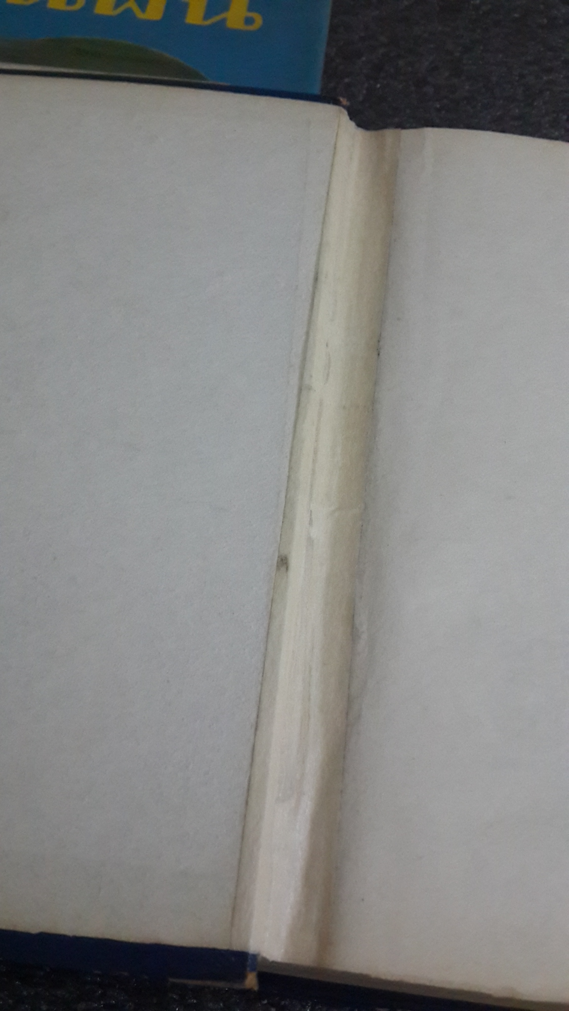 ในฝัน (2เล่มจบ) / โรสลาเรน