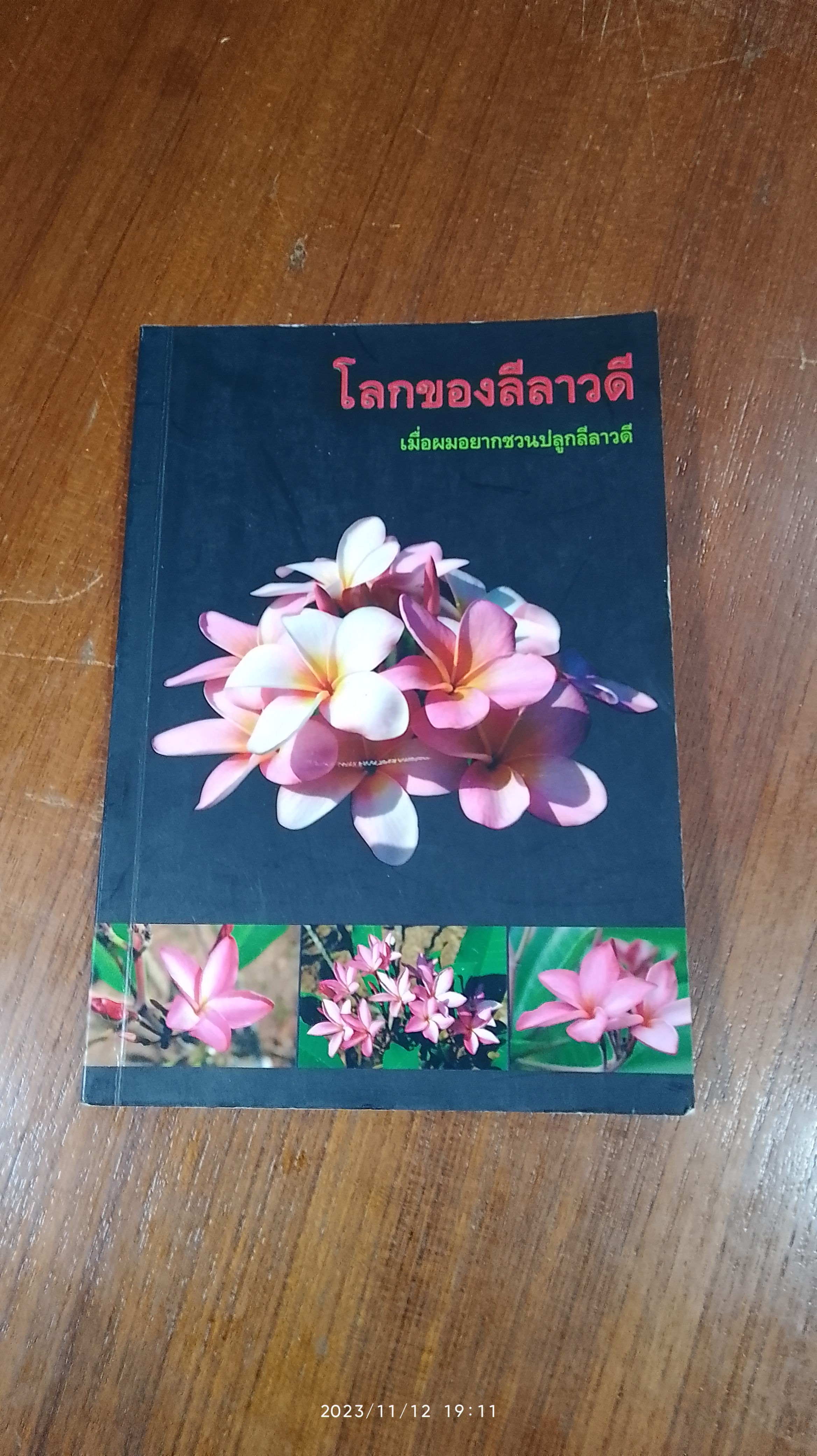 โลกชองลีลาวดี เมื่อผมอยากชวนปลูกลีลาวดี