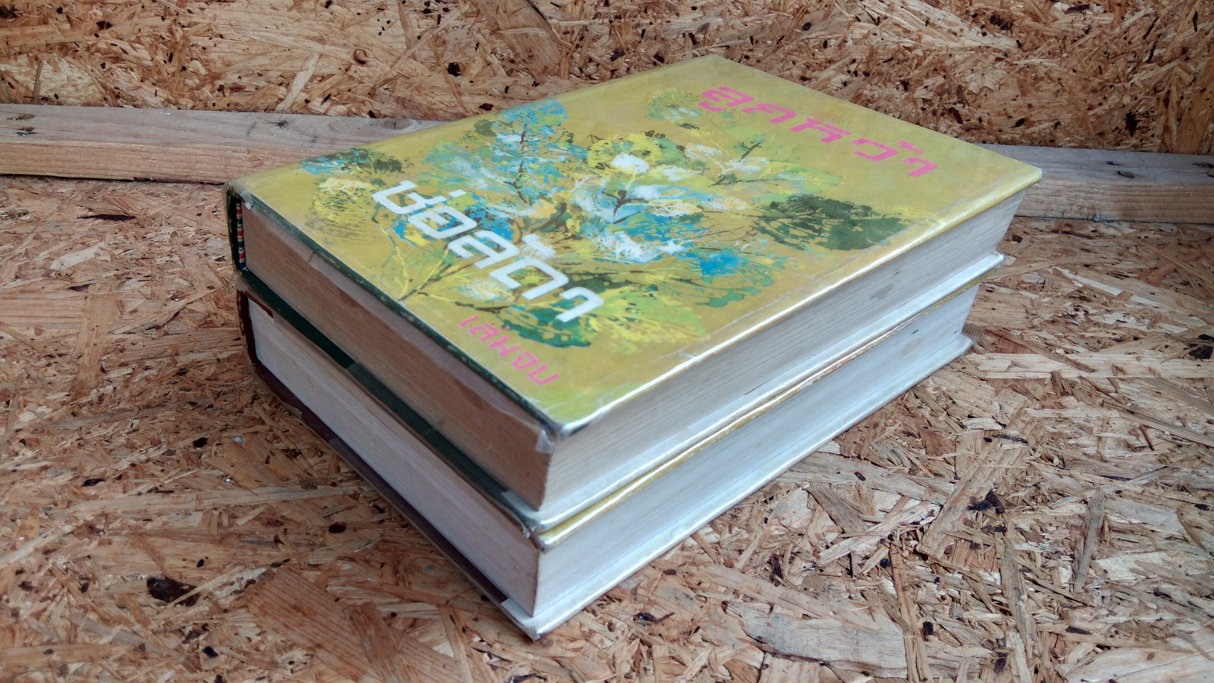 ลูกหว้า (2เล่มจบ) / ช่อลัดา