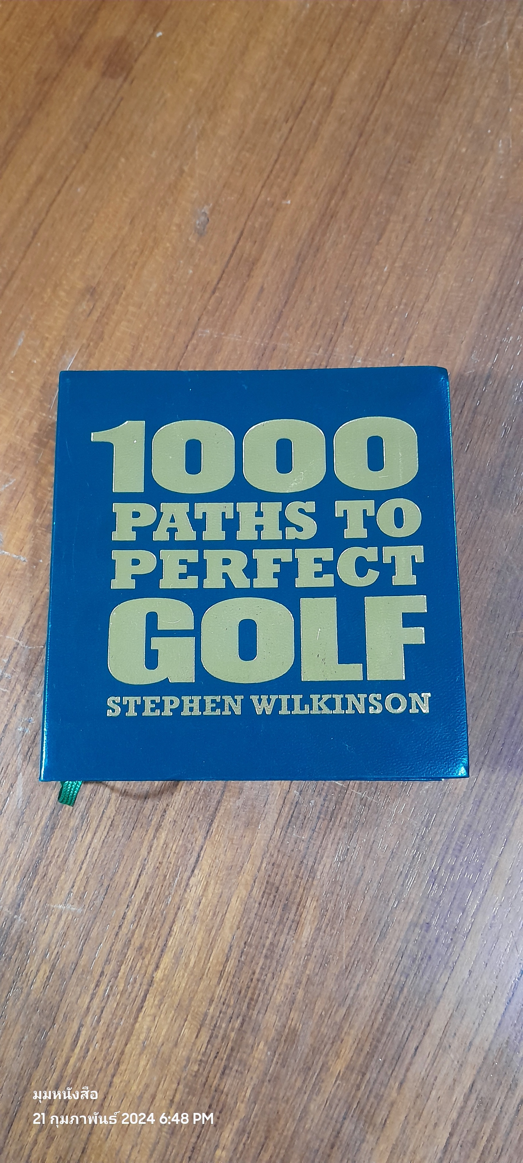 100 PATHS TO PERFECT GOLF / Steve Wilkinson