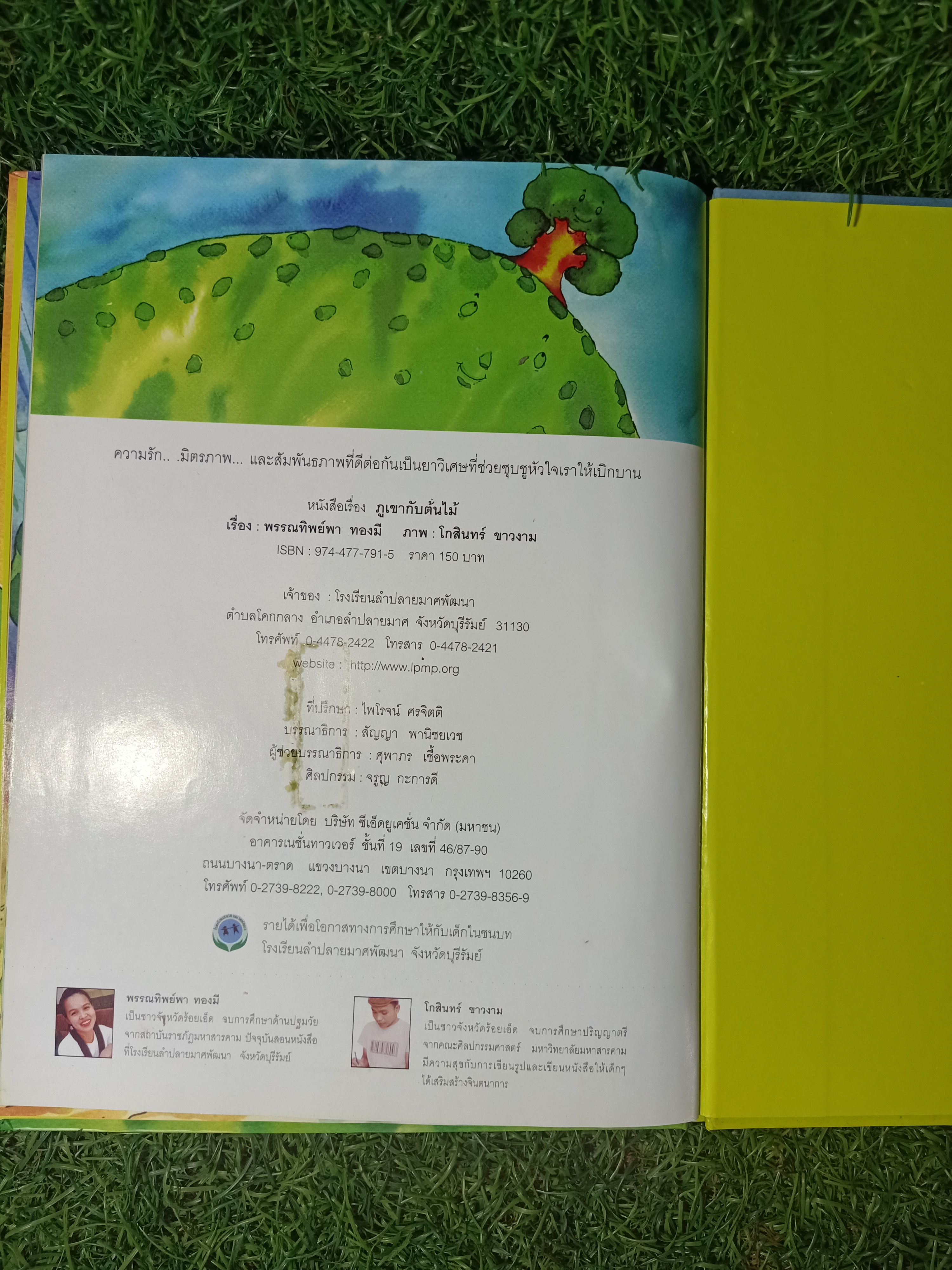 ภูเขากับต้นไม้ / พรรณทิพย์พา ทองมี