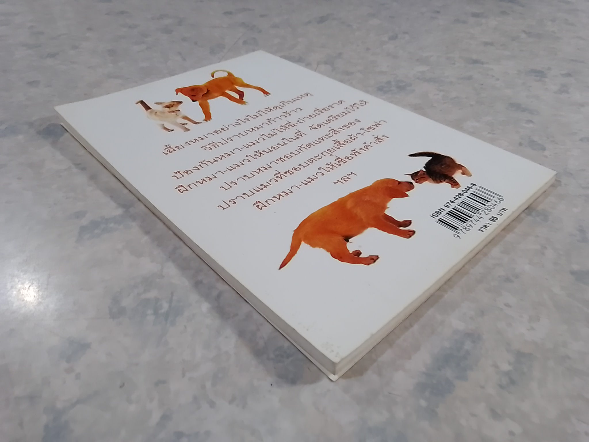 เคล็ดไม่ลับปราบหมาจอมซ่าแมวจอมซน / นันทิชา พุกาธร