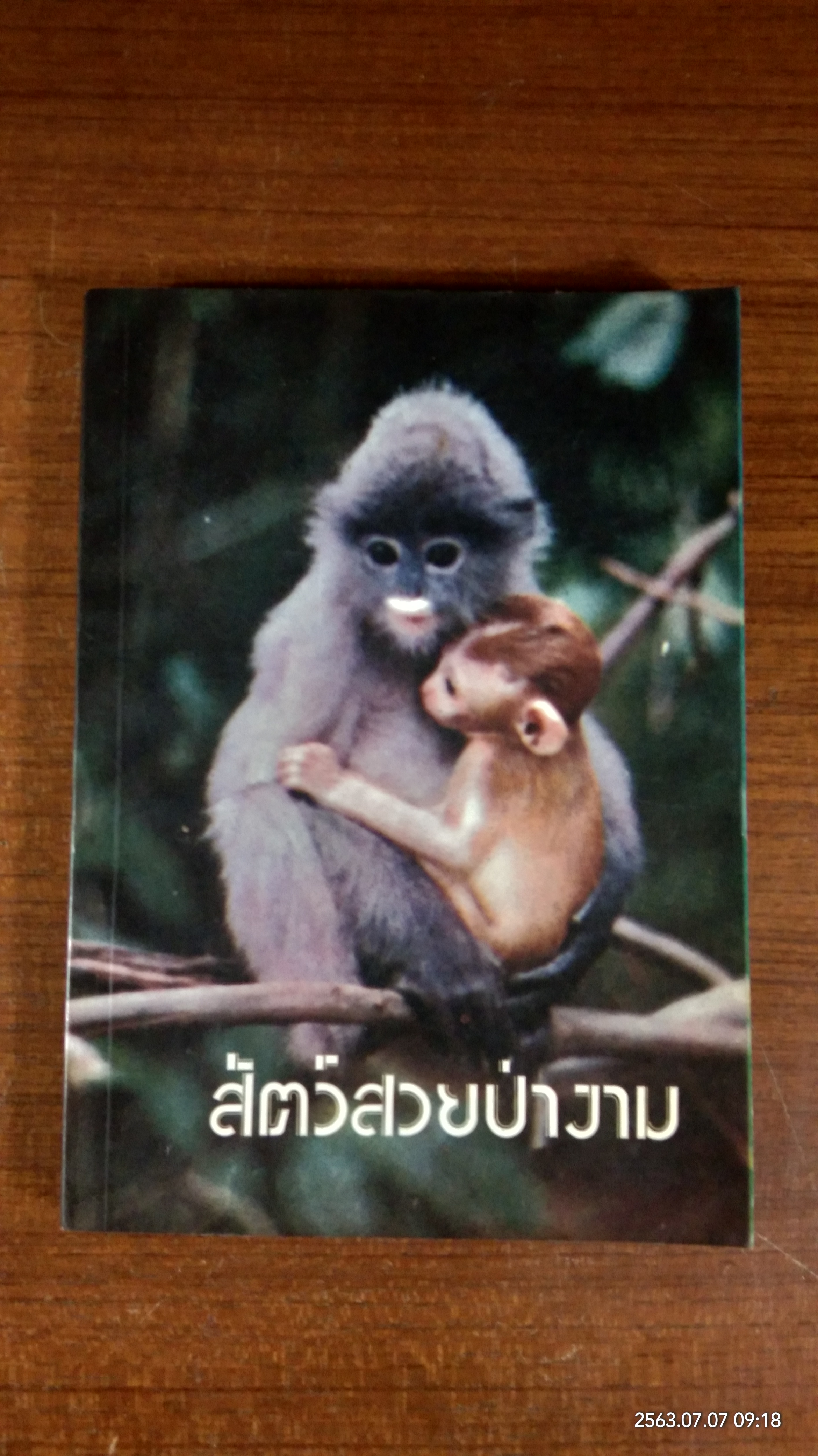สัตว์สวยป่างาม