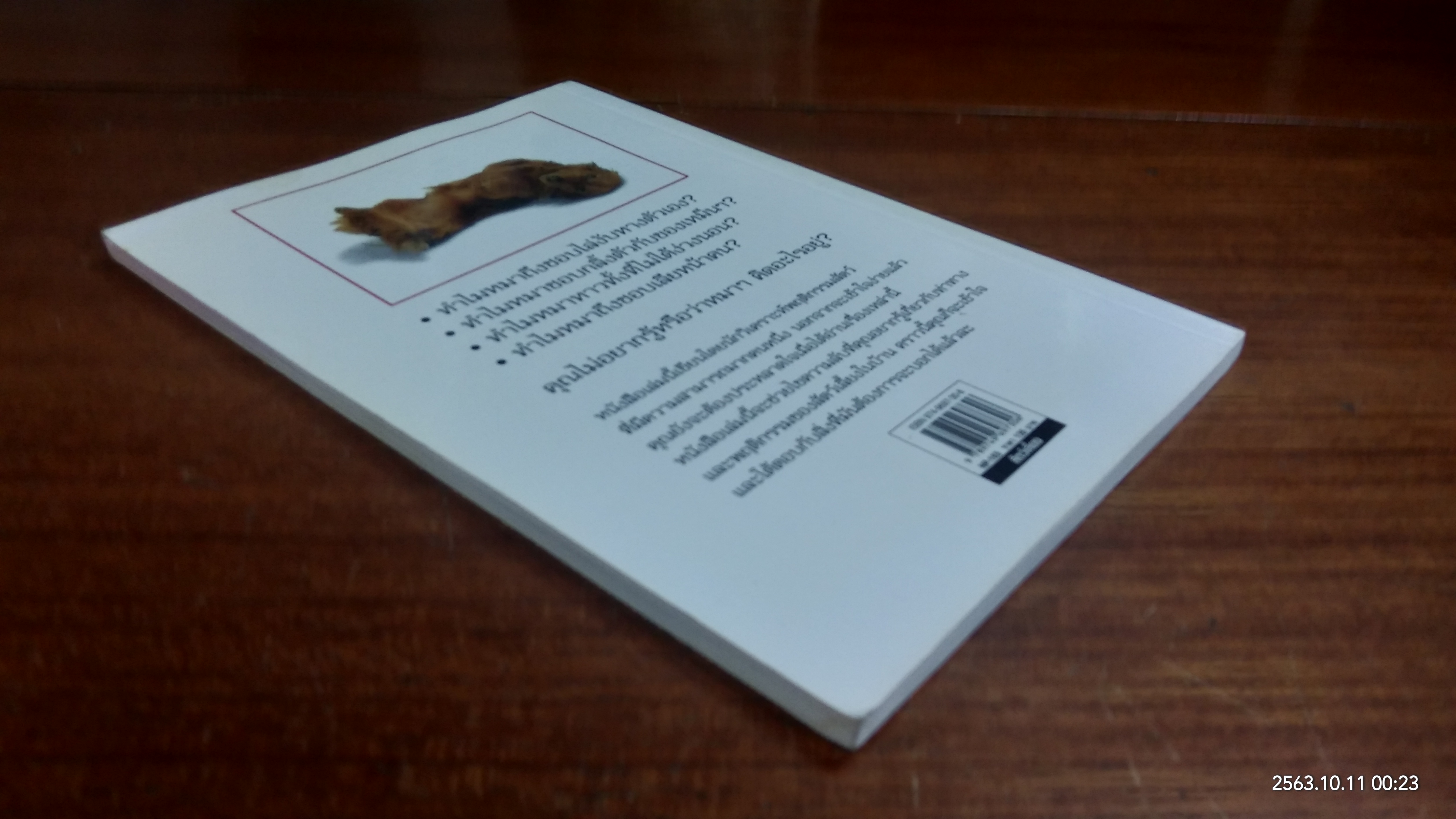 รู้ไหมหมาคิดอะไรอยู่? / GWEN BAILEY