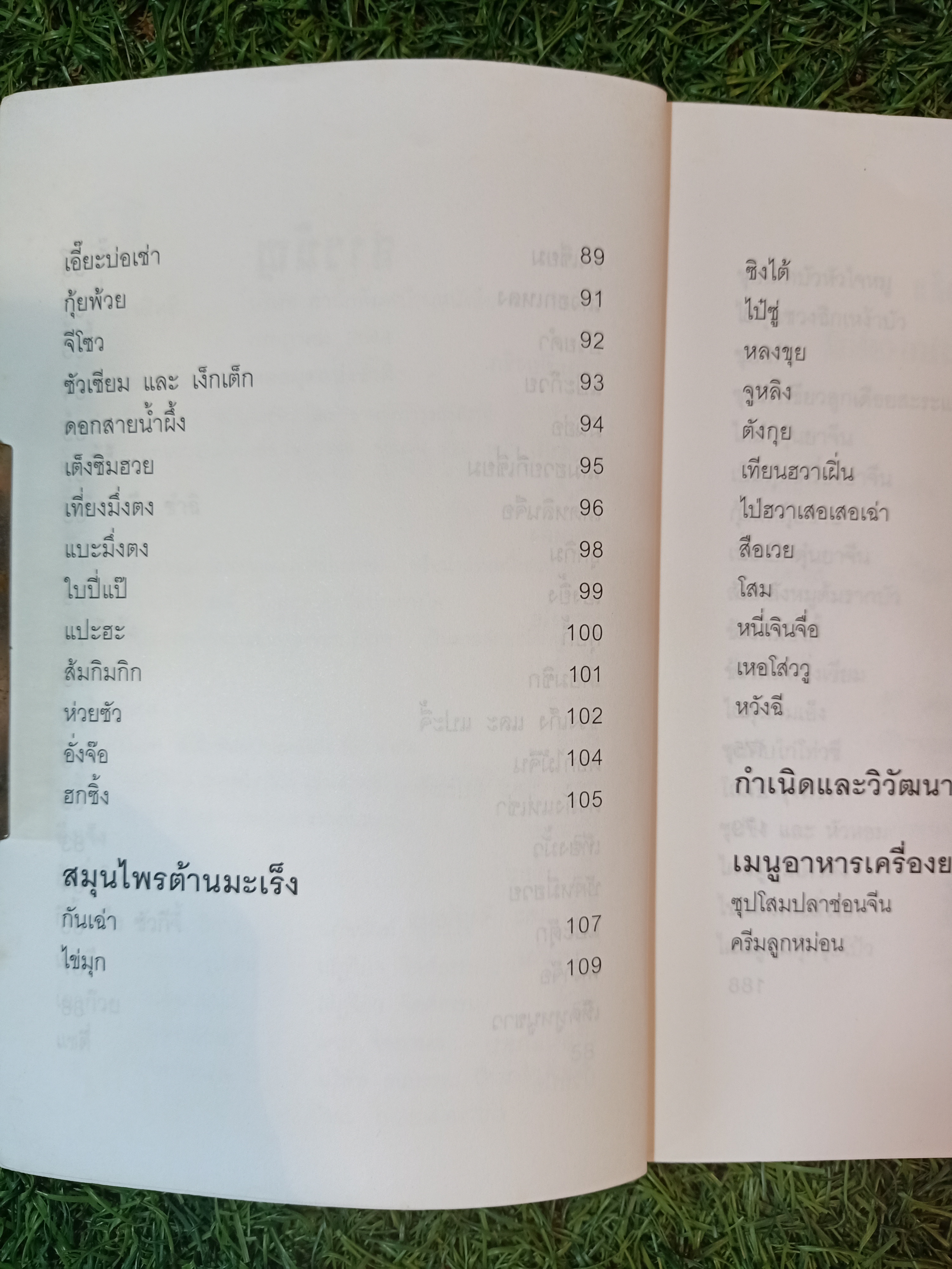 สมุนไพรจีน และ อาหารบำรุงกำลัง(หนังสือมีรอยด้านล่างของปก) / ลัดดา