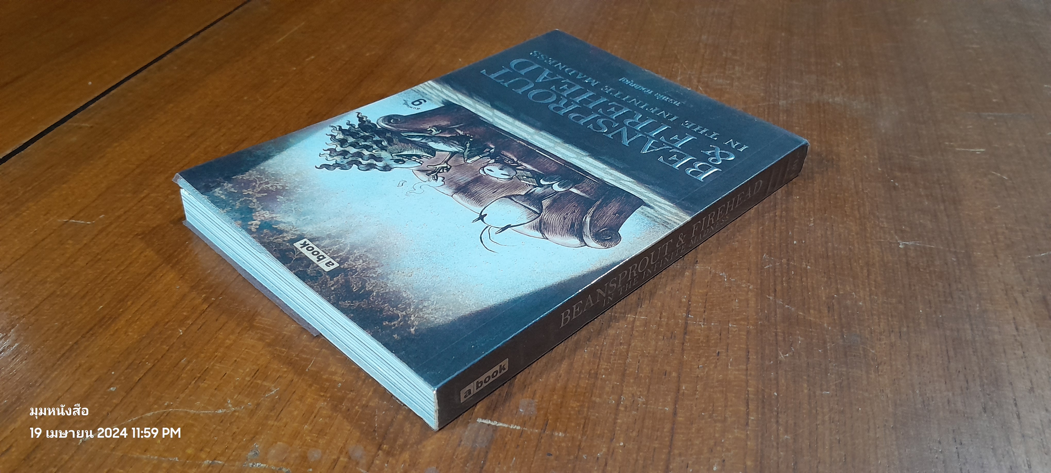 Beansprout & Firehead I In the Infinite Madness - ถั่วงอก และ หัวไฟ (เล่ม1) ในความบ้าคลั่งอันมิรู้สิ้นสุด / ทรงศีล ทิวสมบุญ