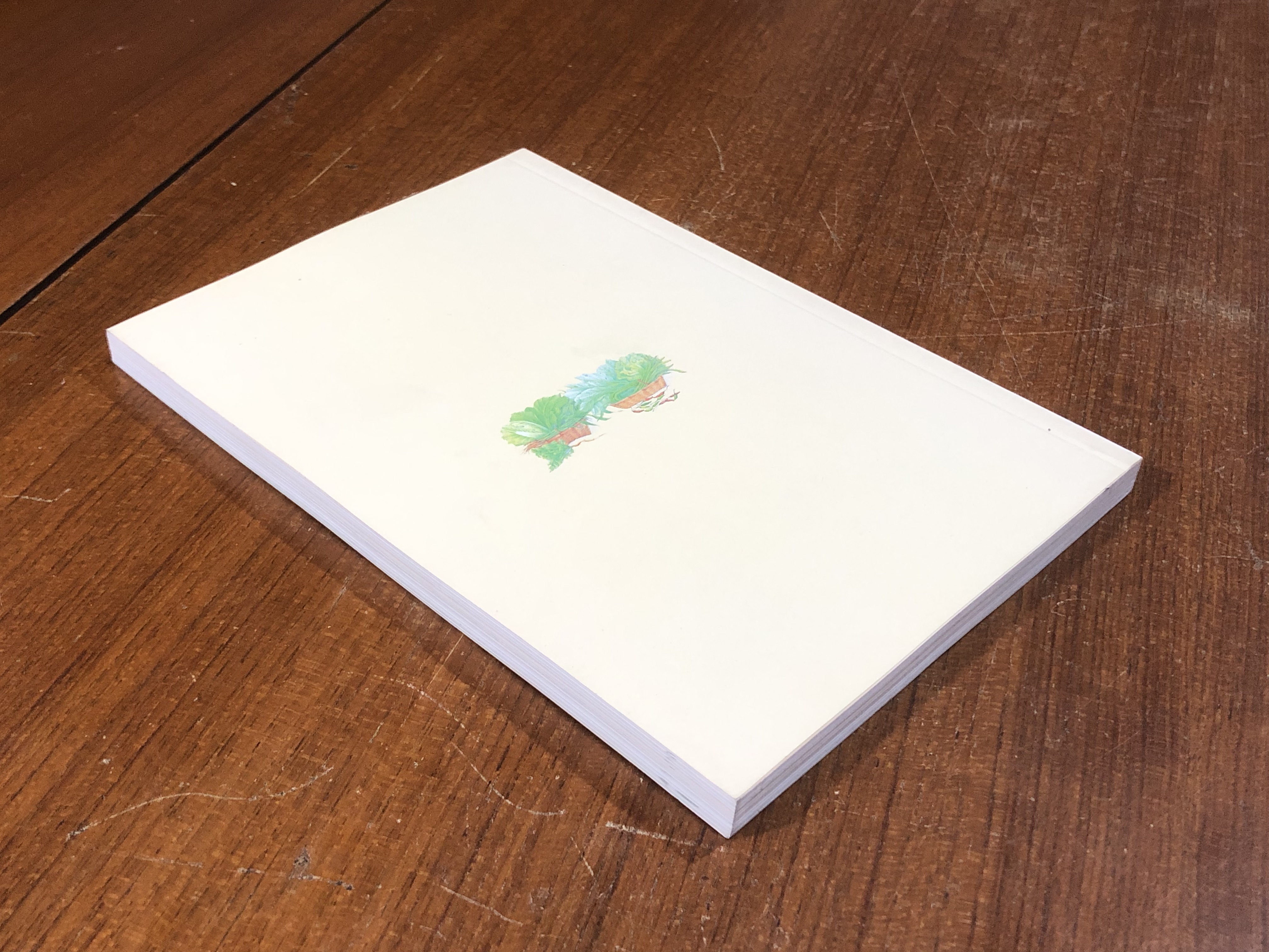 สวนผักรักษ์ไทย / ธ.กสิกรไทย