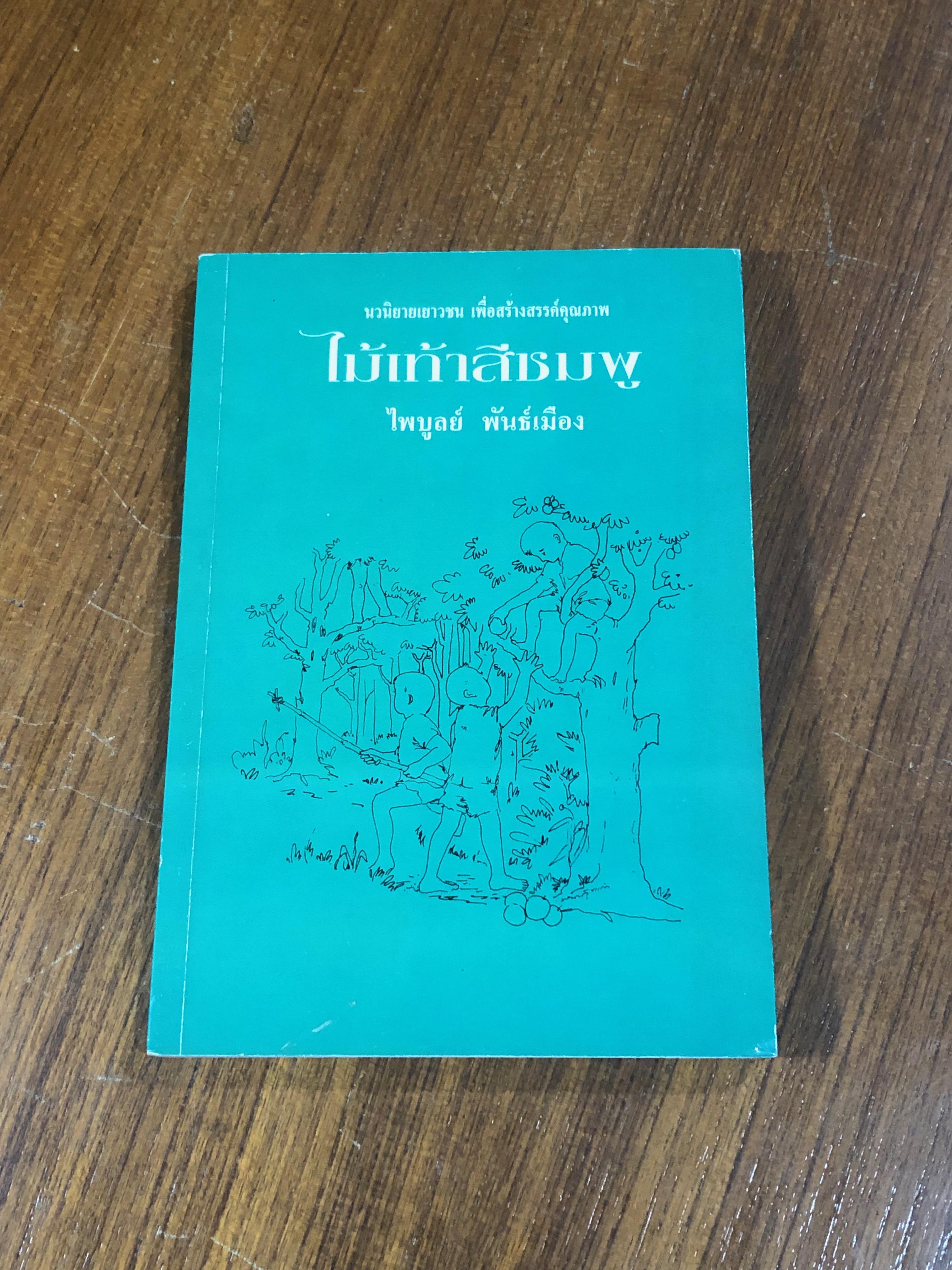 ไม้เท้าสีชมพู / ไพบูลย์ พันธ์เมือง