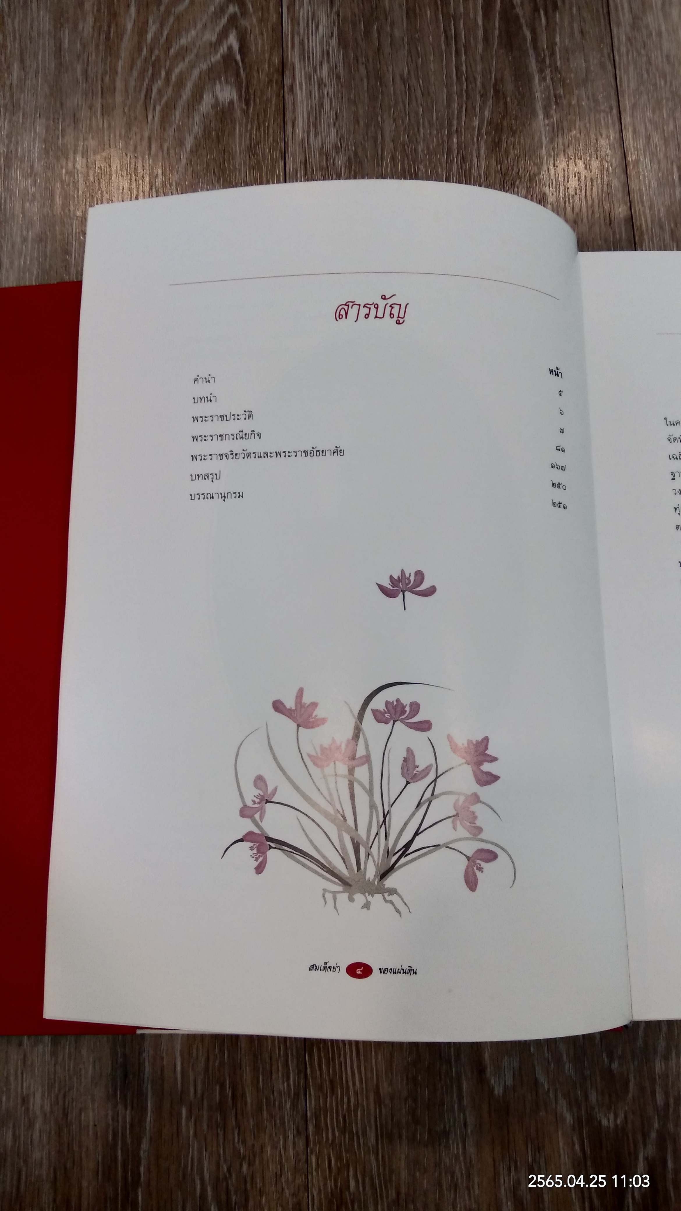 สมเด็จพระศรีนครินทราบรมราชชนนี : สมเด็จย่าของแผ่นดิน