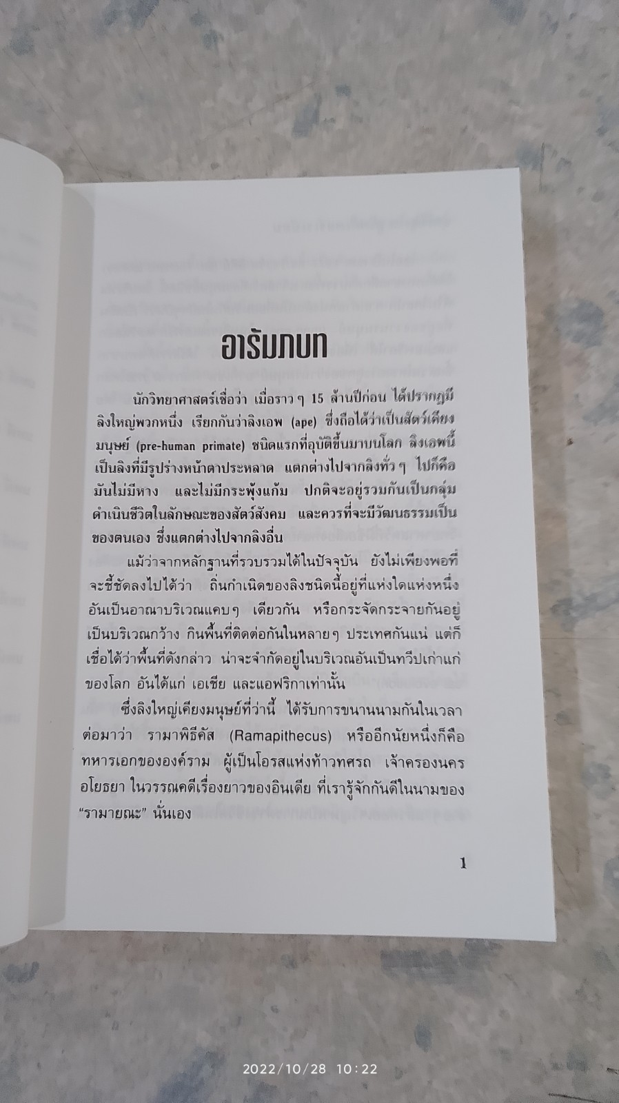 จากไครเส สู่เมดิเตอร์เรเนียน / กิตติพงศ์ ภู่พันธุ์