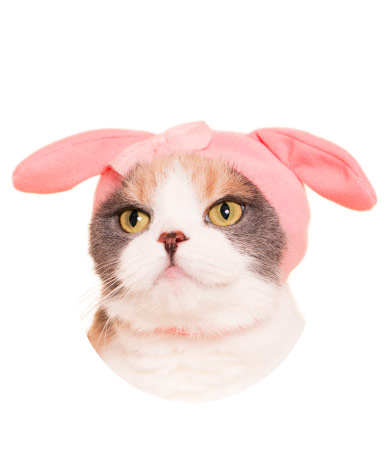 หมวกแมว Sanrio เป็นยางยืด ยืดขยายได้เยอะ ใส่น้องหมา น้องแมว ตุ๊กตา ก็น่ารักนะคะ มี 6 แบบให้เลือก