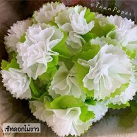 ดอกไม้ขาว