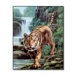 กรอบลอยภาพมงคล เสือเดินน้ำตก ขนาด 40x50x2 ซม. (2095)