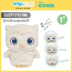 Gund Baby Sleepy Eyes Owl Soother ตุ๊กตาสำหรับเด็กมีเสียง