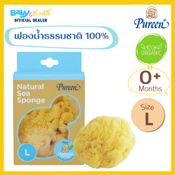 Pureen ฟองน้ำธรรมชาติอาบเด็ก ฟองน้ำธรรมชาติแท้ 100% size. L