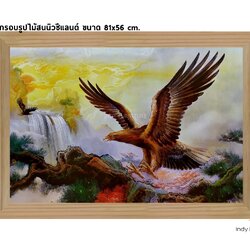 กรอบรูปไม้สนนิวซีแลนด์ ภาพวาด นกอินทรี ขนาด81x56ซม. (344)