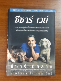 ซีซาร์ เวย์ / ซีซาร์ มิลลาน