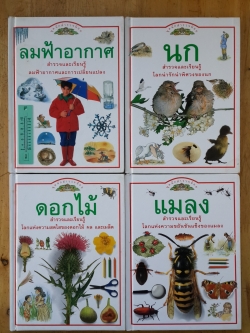 ชุดนักสำรวจน้อย : ลมฟ้าอากาศ นก ดอกไม้ แมลง (1ชุด4เล่ม-ปกแข็ง) / หนังสือเด็ก รักลูก
