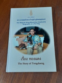 พระราชนิพนธ์เรื่อง ทองแดง