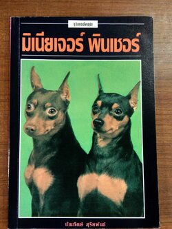 มิเนียเจอร์ พินเชอร์ / บัณฑิตย์ สุริยพันธ์