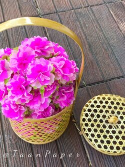 กระดาษห่อสาเหรียญ เซ็ทดอกไฮเดรนเยีย สีชมพู