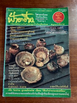 ฟ้าอาชีพ ปีที่ 4 ฉบับที่ 38 (ชำรุดมีซ่อมแซม)