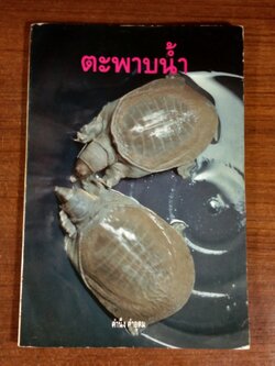 ตะพาบน้ำ / คำนึง คำอุดม