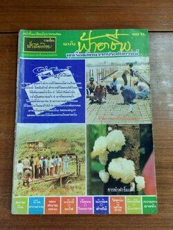 ฟ้าอาชีพ : ปีที่ 1 ฉบับที่ 11