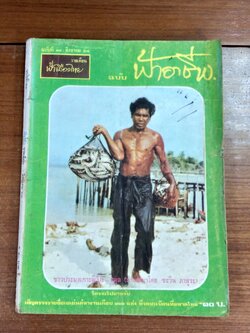 ฟ้าอาชีพ : ปีที่ 2 ฉบับที่ 13