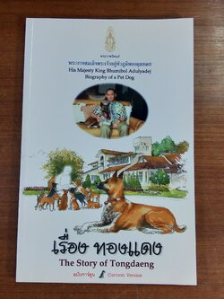 เรื่อง ทองแดง ฉบับการ์ตูน