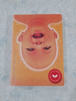 เด็กชายจากดาวอื่น / วาวแพร