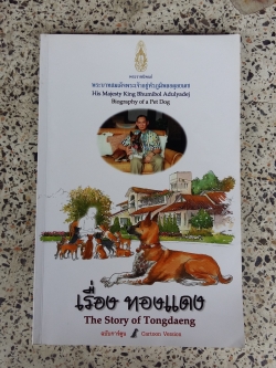 พระราชนิพนธ์เรื่อง ทองแดง ฉบับการ์ตูน