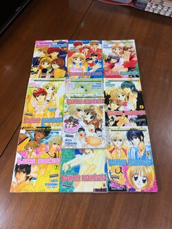 แผนหรรษา ครอบครัวฮาเฮ (10เล่มจบ) / ARATA YOSHIKAWA