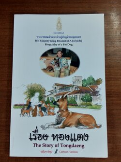 พระราชนิพนธ์เรื่อง ทองแดง ฉบับการ์ตูน